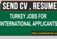 Turkey Jobs for International Candidates in 2023- Immigrate Turkey