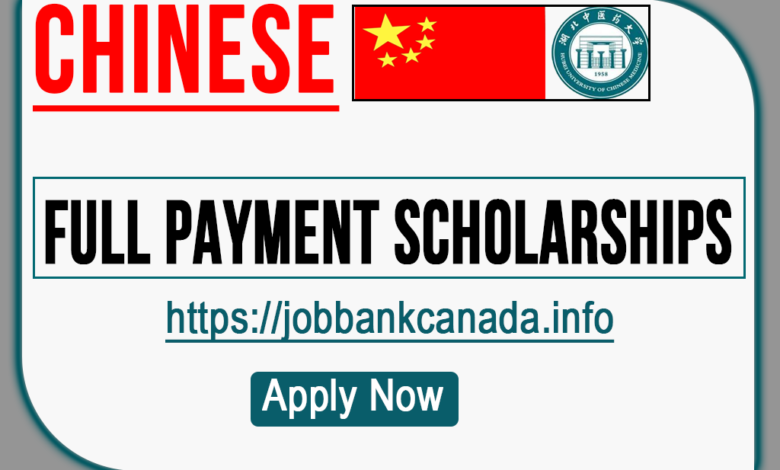 Hubei Government Scholarship